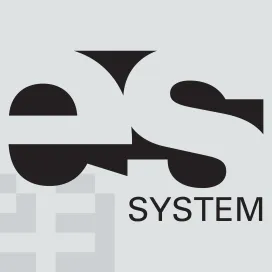 Es system
